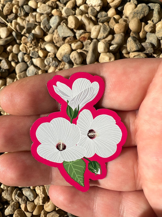 California Hibiscus 2 inch magnet | Hibiscus lasiocarpos var. occidentalis