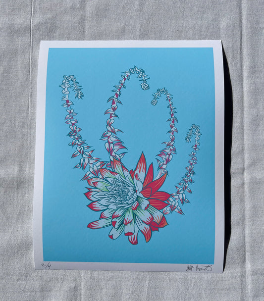 Dudleya pulverulenta | 8.5 X 11 inches Archival Print