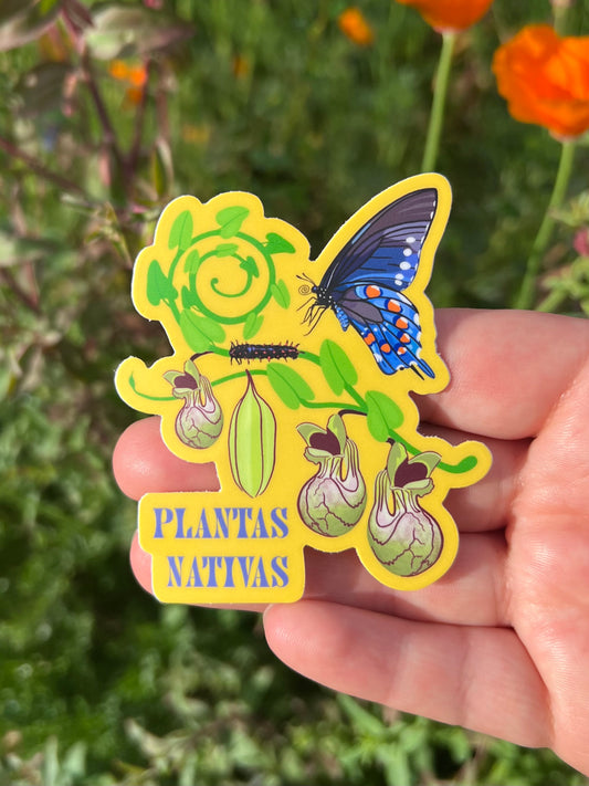 California Pipevine and Swallowtail butterfly | 3 inch vinyl sticker | weatherproof sticker