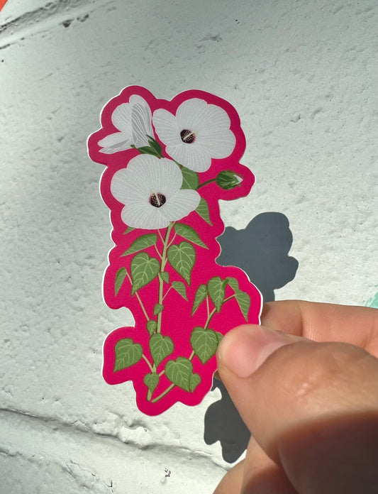 California Hibiscus | Hibiscus lasiocarpos var. occidentalis | flower vinyl sticker