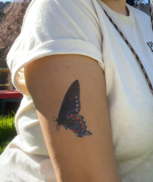 Battus philenor | Pipevine Swallowtail Butterfly | 3 inch Temporary TATTOO