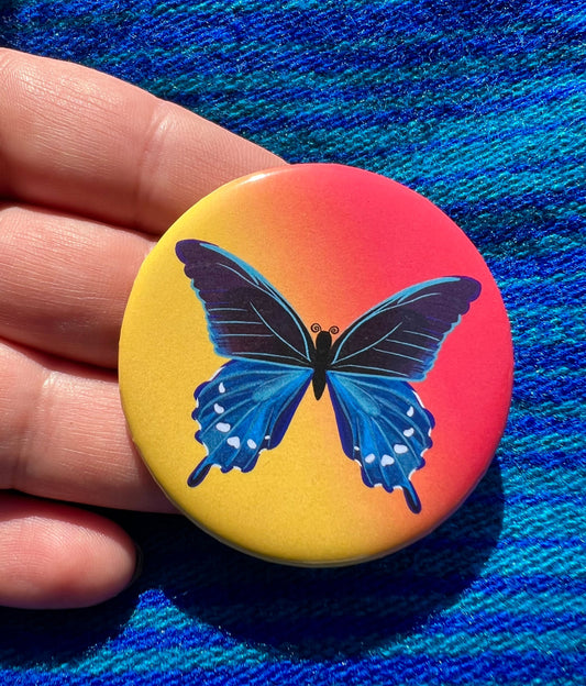 Battus philenor button | Blue butterfly art